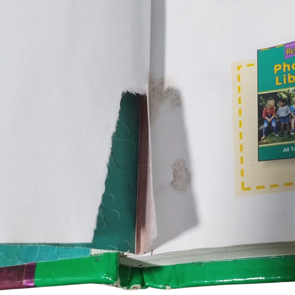 Houghton Mifflin Leveled Reading Levels 1.1 and 1.3 Journeys 2.1 Hardcover Texts