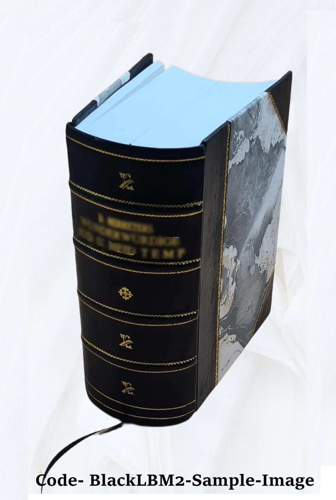 Entwurf einer urkundlichen geschichte des gesamm V. 3-4 18271828 [Leather Bound]
