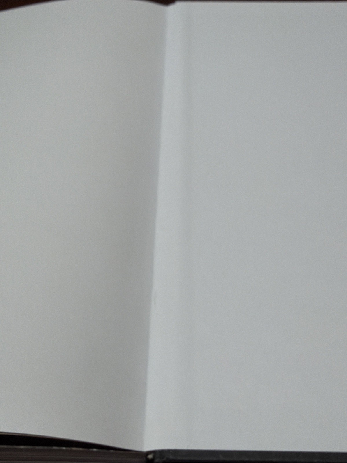 devendra banhart Prestel Verlag Munich Art Book HC 2015