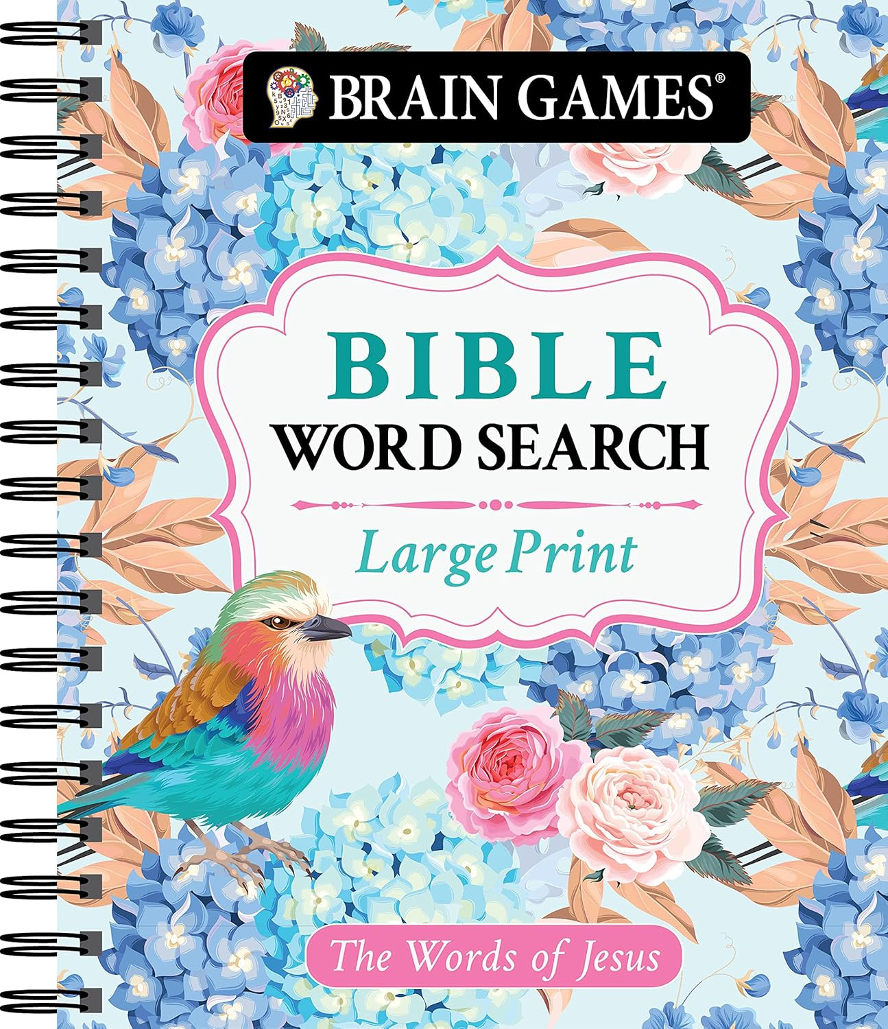 Large Print Christian Word Search Book Jesus Teachings 80+ Puzzles Spiral Bound