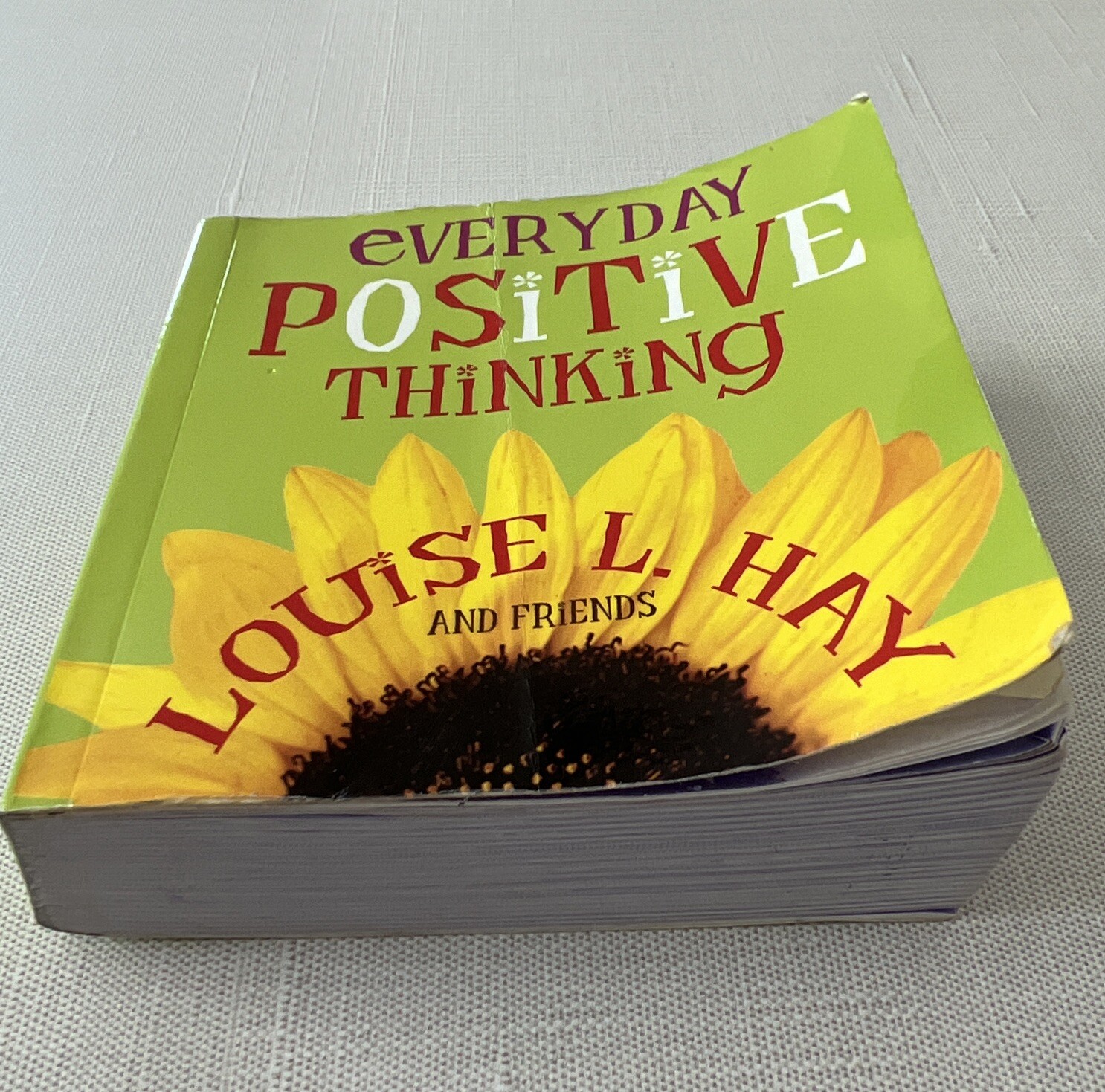 Everyday Positive Thinking Louise Hay House Book And Friends Self-Help 445 Pages