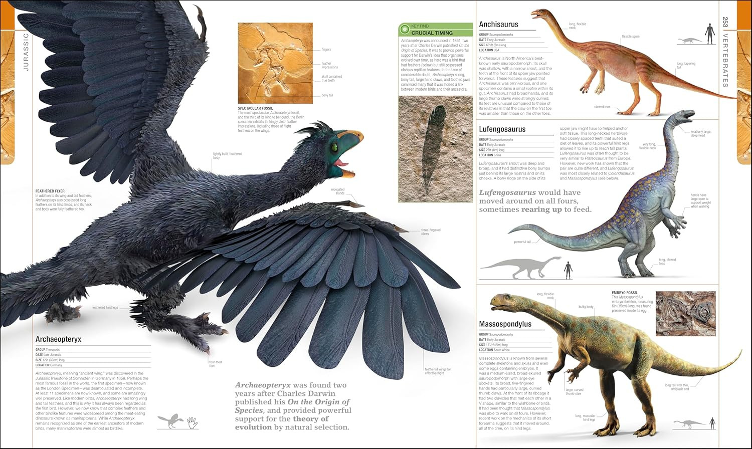 Dinosaurs and Prehistoric Life: the Definitive Visual Guide to Prehistoric Anima
