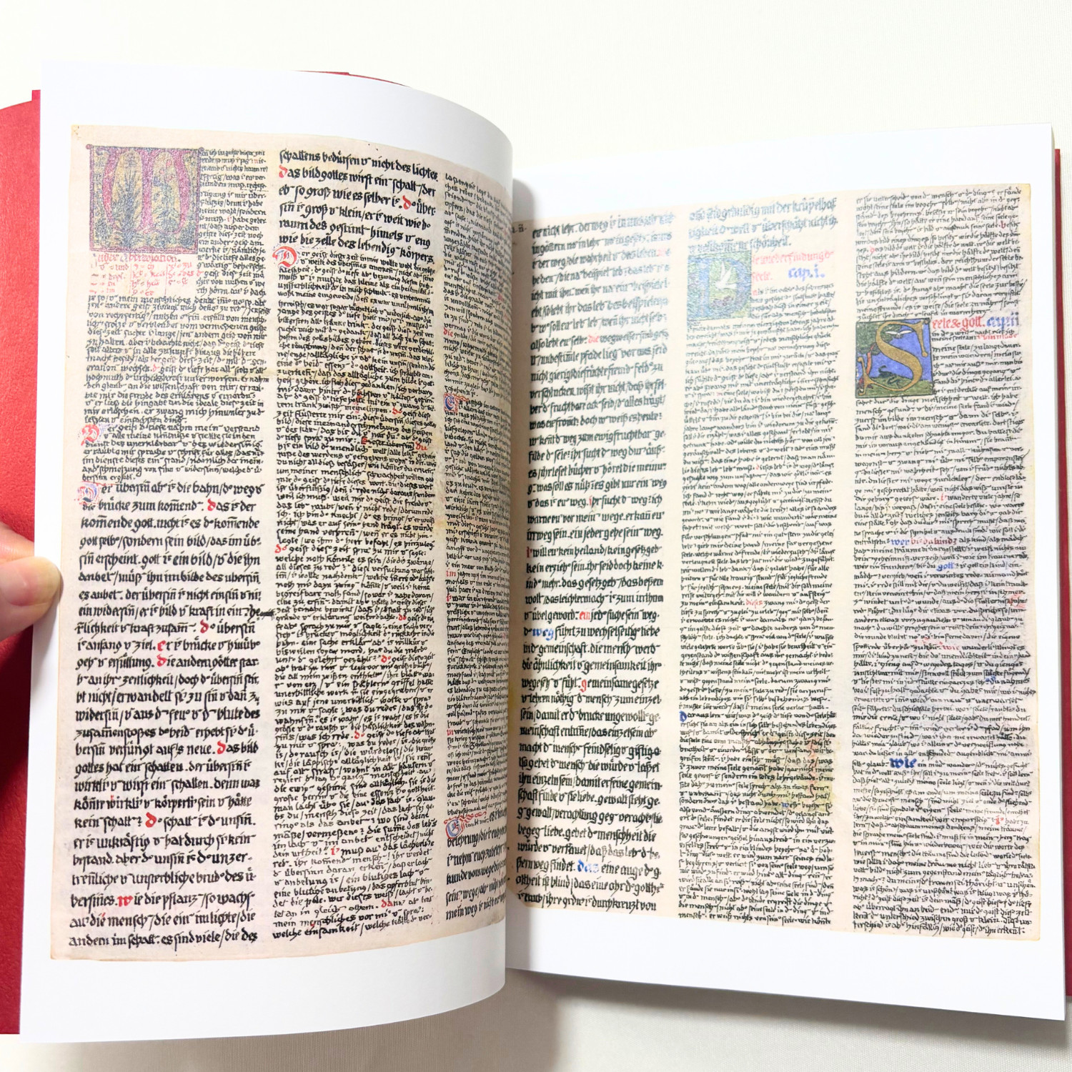 C.G. Jung The Red Book Liber Novus Plates & Illustrations | Rare Psychology Jap
