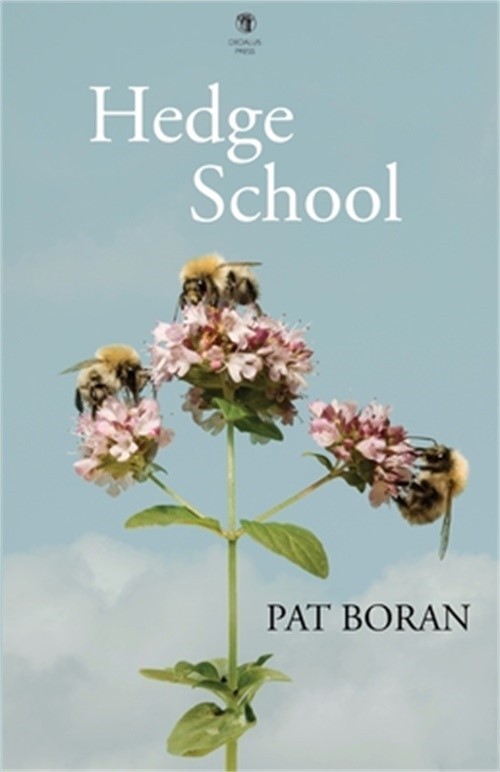 Hedge School (Paperback or Softback)