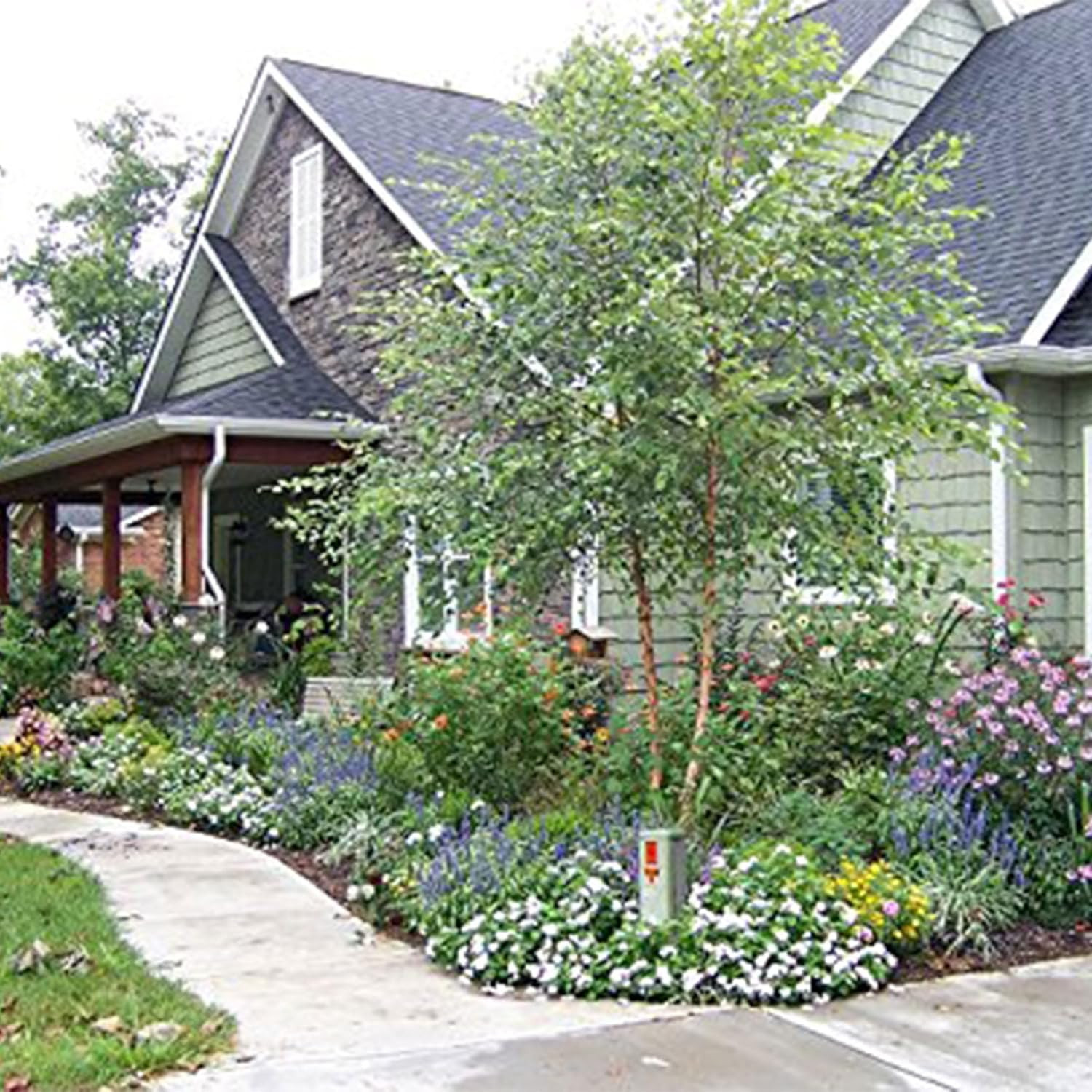Large Realistic Outdoor Faux Rock Covers for Landscaping Lawns and Gardens