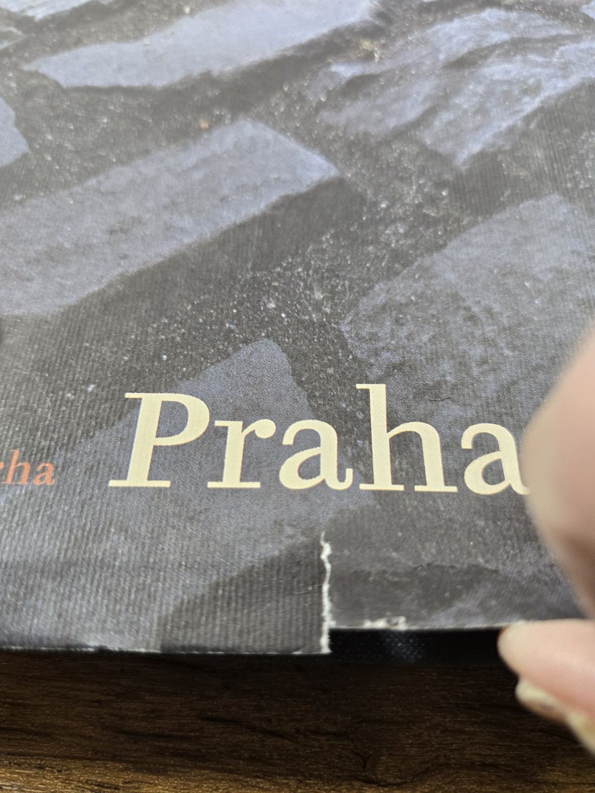 Praha. Prague. by Pavel Stecha Czech Photography Book City Architecture Landmark