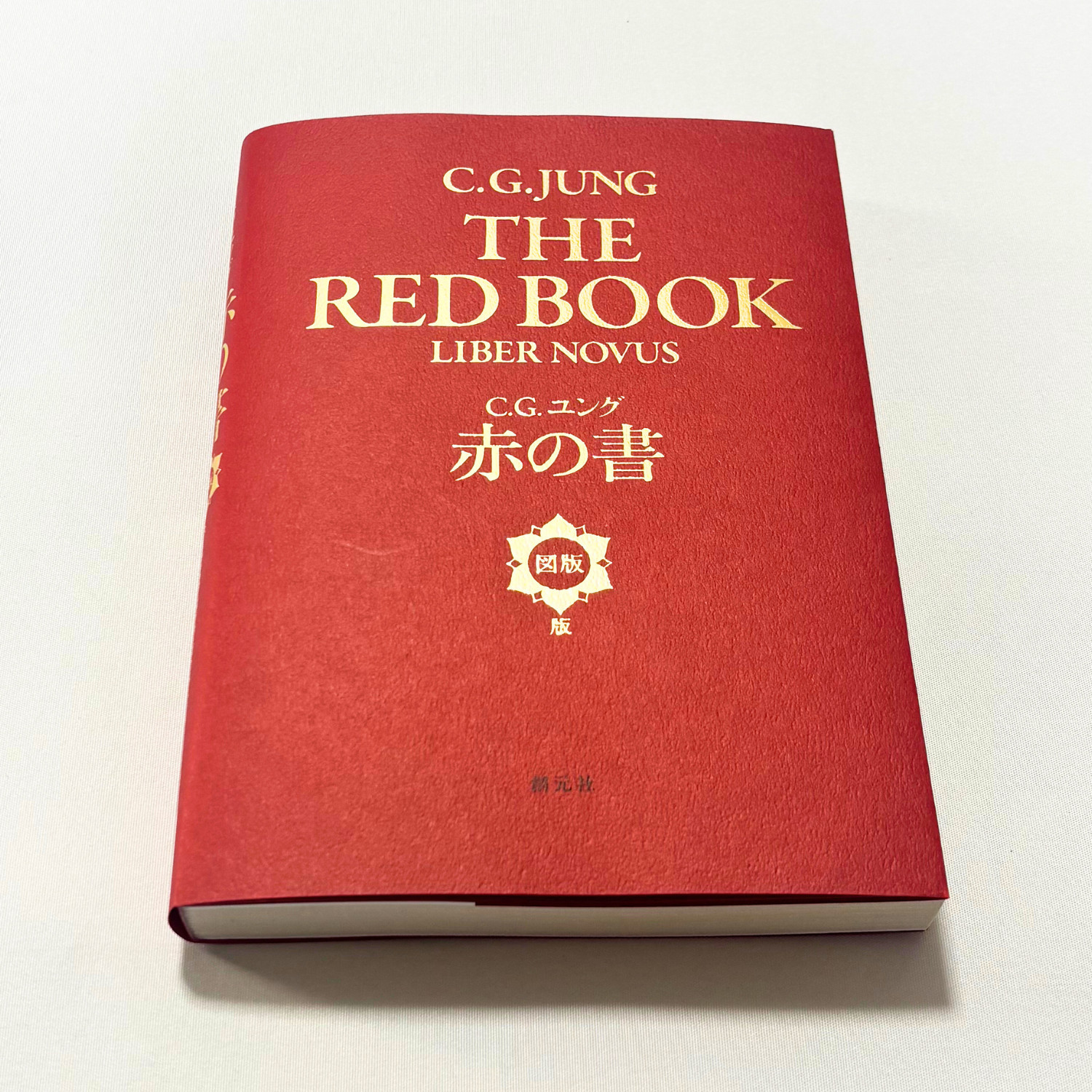 C.G. Jung The Red Book Liber Novus Plates & Illustrations | Rare Psychology Jap