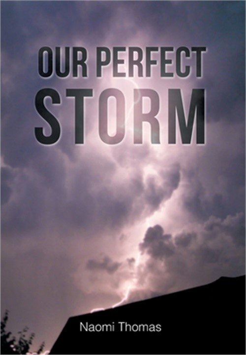 Our Perfect Storm (Hardback or Cased Book)