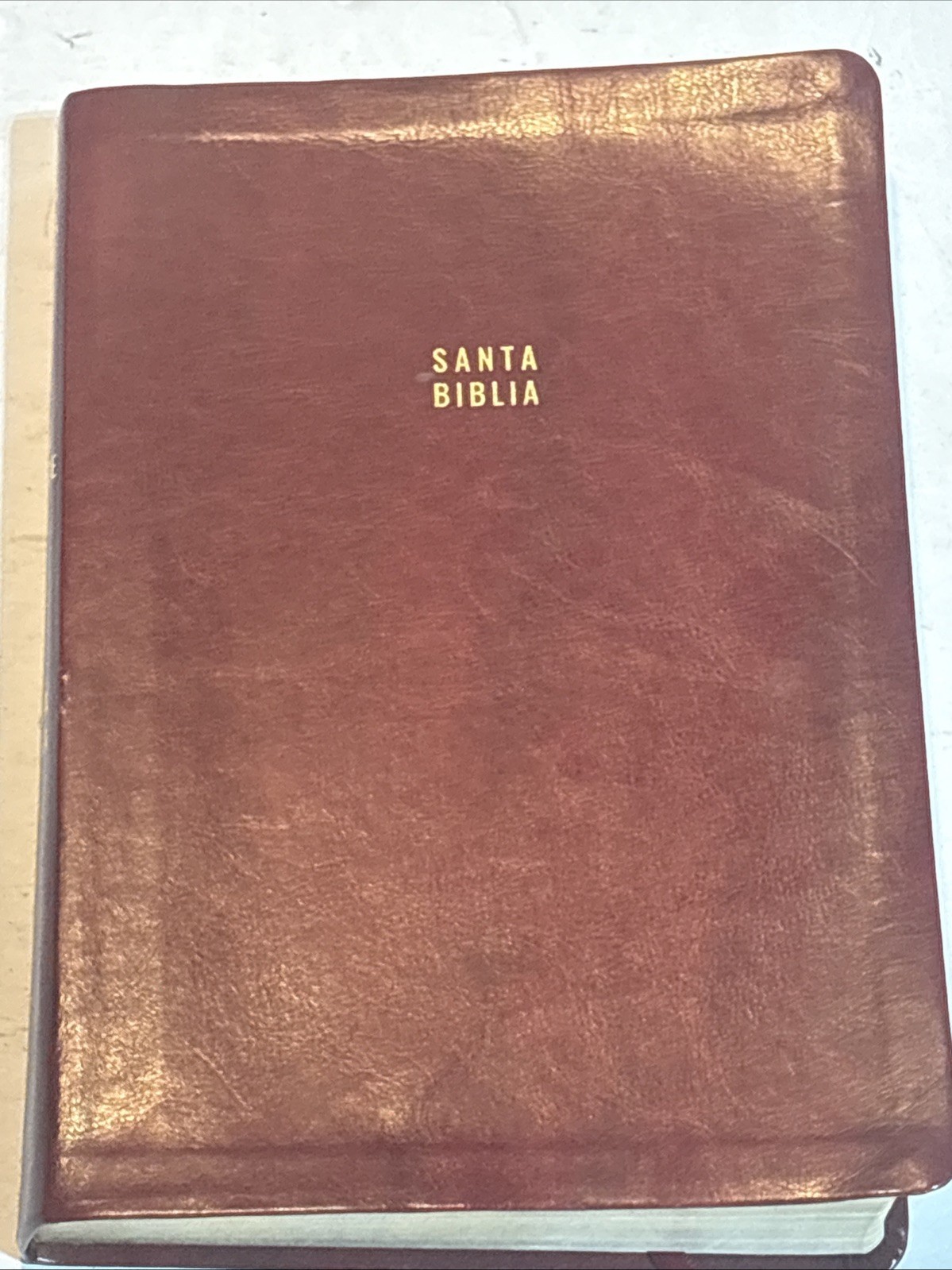 Santa Biblia Reina Valera Letra Gigante Spanish Bible Origen