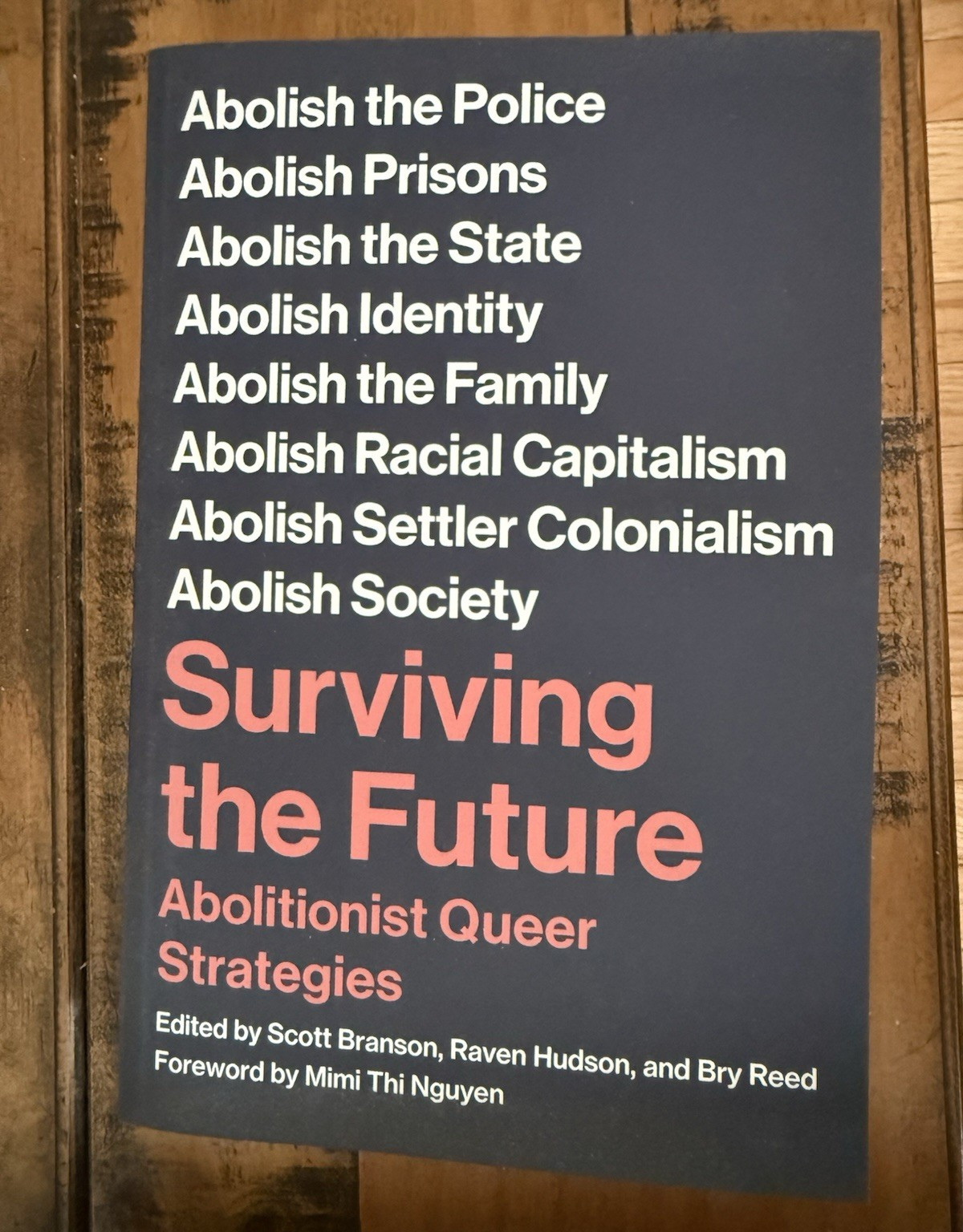 PM Press Surviving the Future: Abolitionist Queer Strategies Paperback Essays