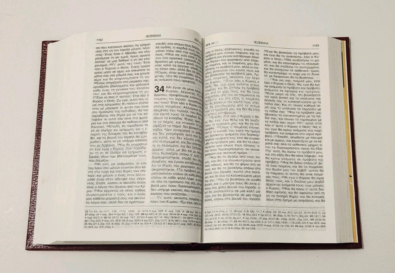 Η Αγία Γραφή (“The Holy Bible”) 1995 Modern Greek HC Old and New Testament