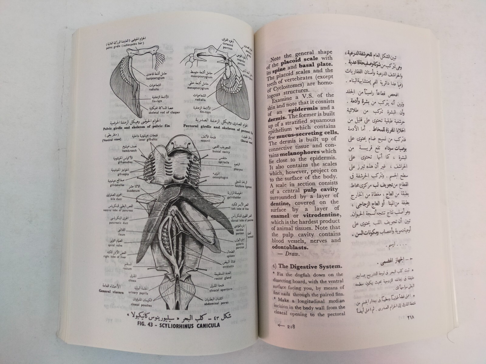 lot 3 Arabic & English Animal book كتاب بيولوجية الحيوان العلمية 3 اجزاء حيوانات