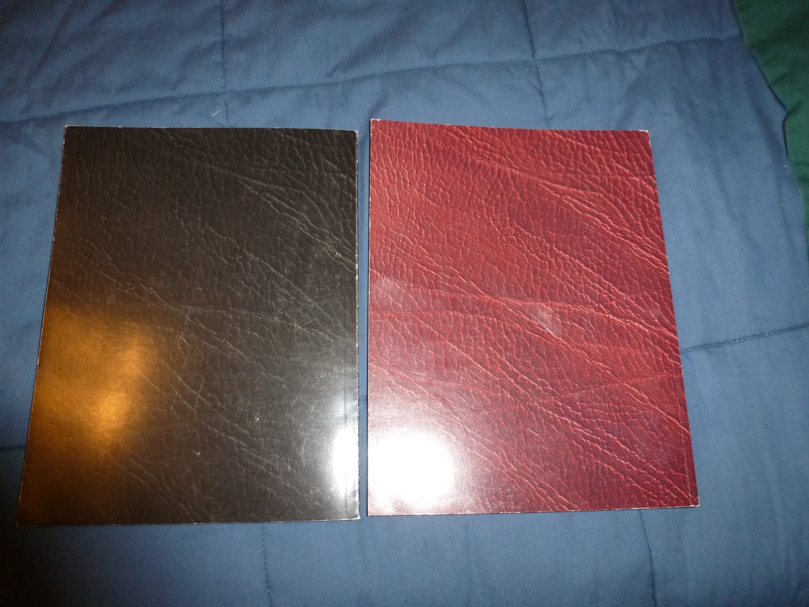 SECTION 8 BIBLE, VOL. 1 & 2 *HOW TO SUCCEED IN SECTION 8* Michael Mclean
