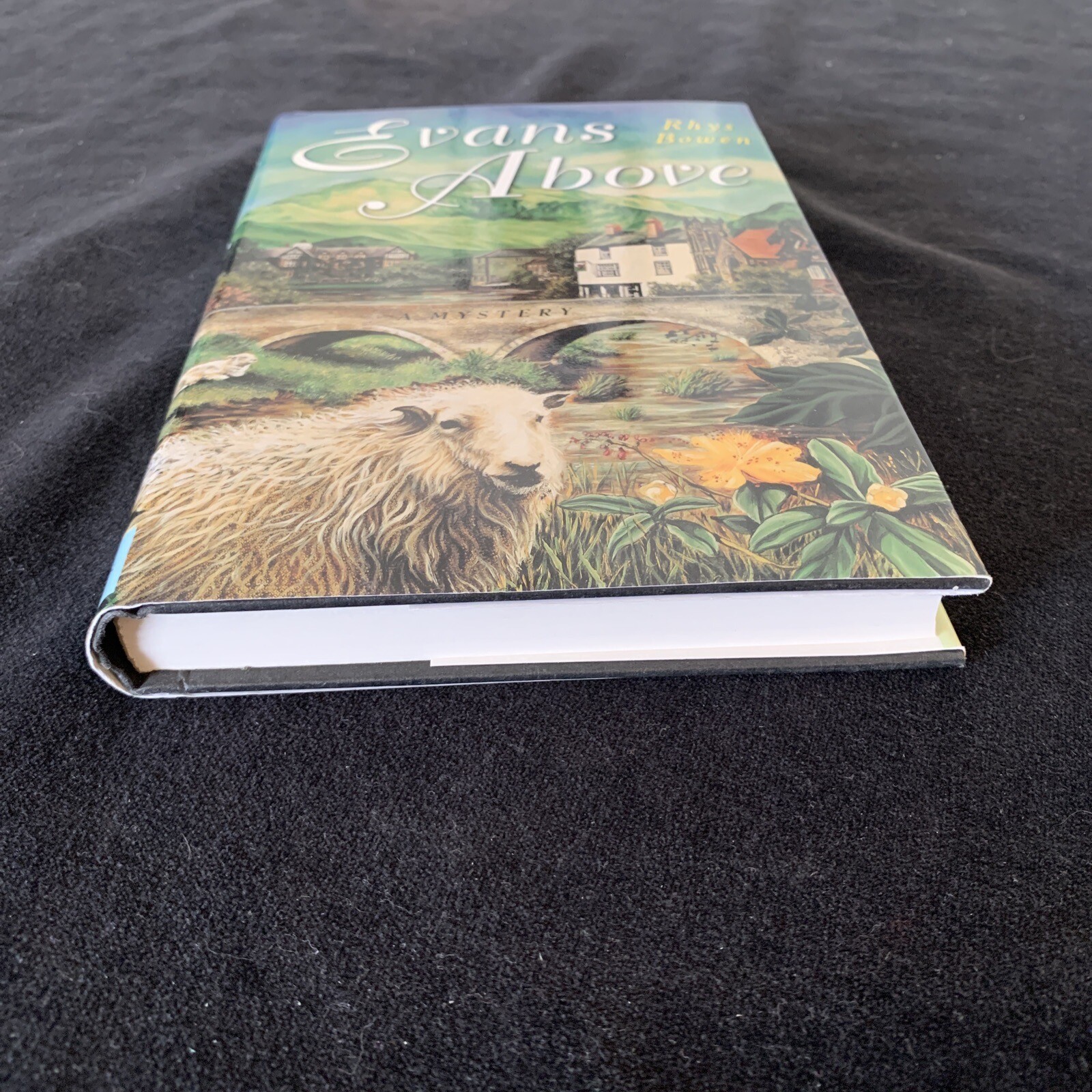 Signed, 1st ed, 2nd print! Evans Above by Bowen, Rhys 1997 HCDJ Unread Like new