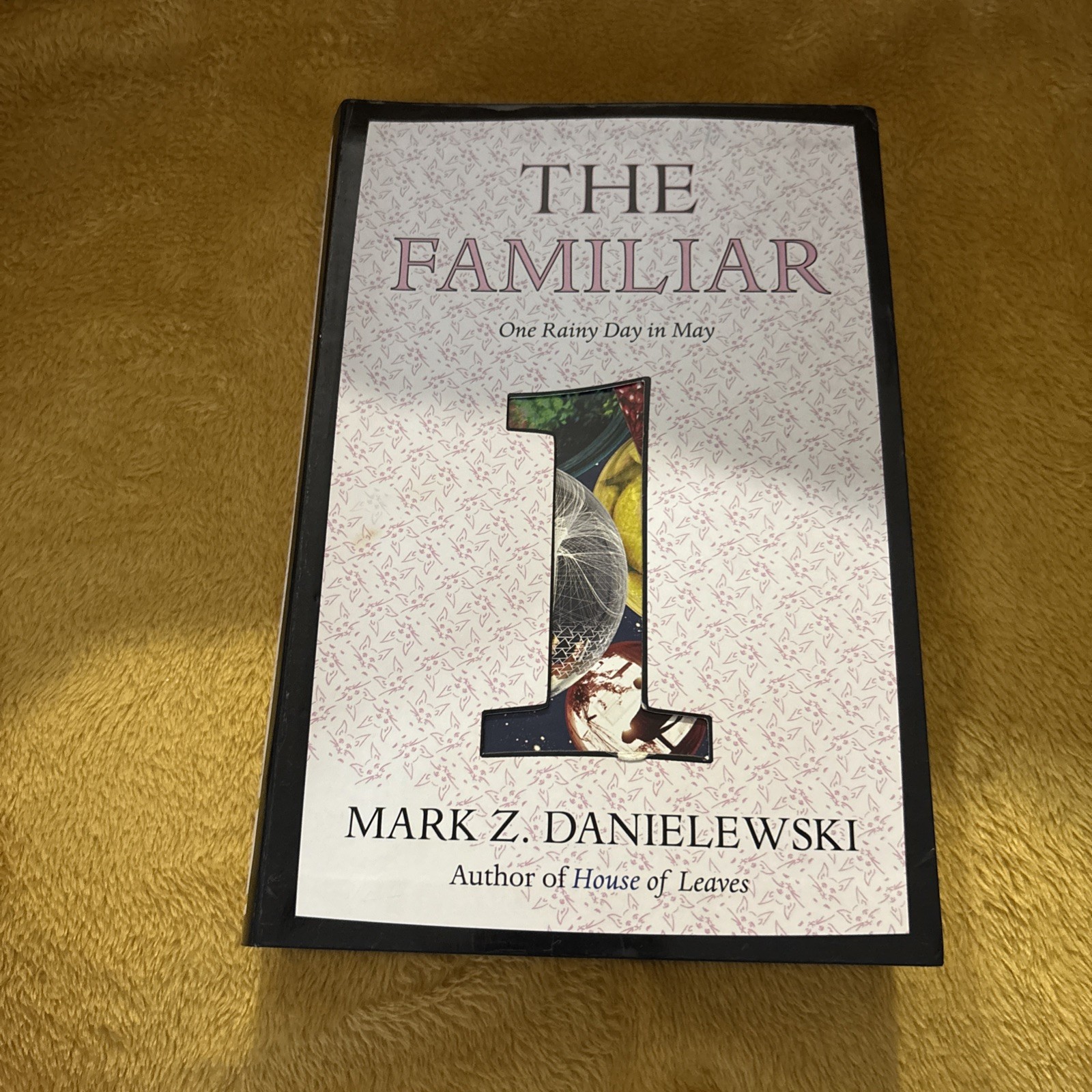 Familiar, Volume 1 : One Rainy Day in May by Mark Z. Danielewski (2015, Trade…