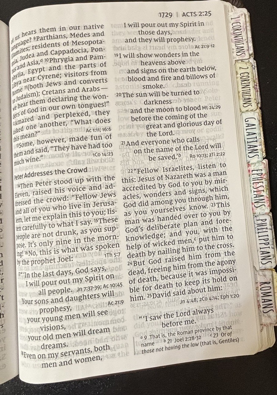 NIV Super Giant Print Reference Bible 2011 Brown Leathersoft 16.5pt Font – EUC