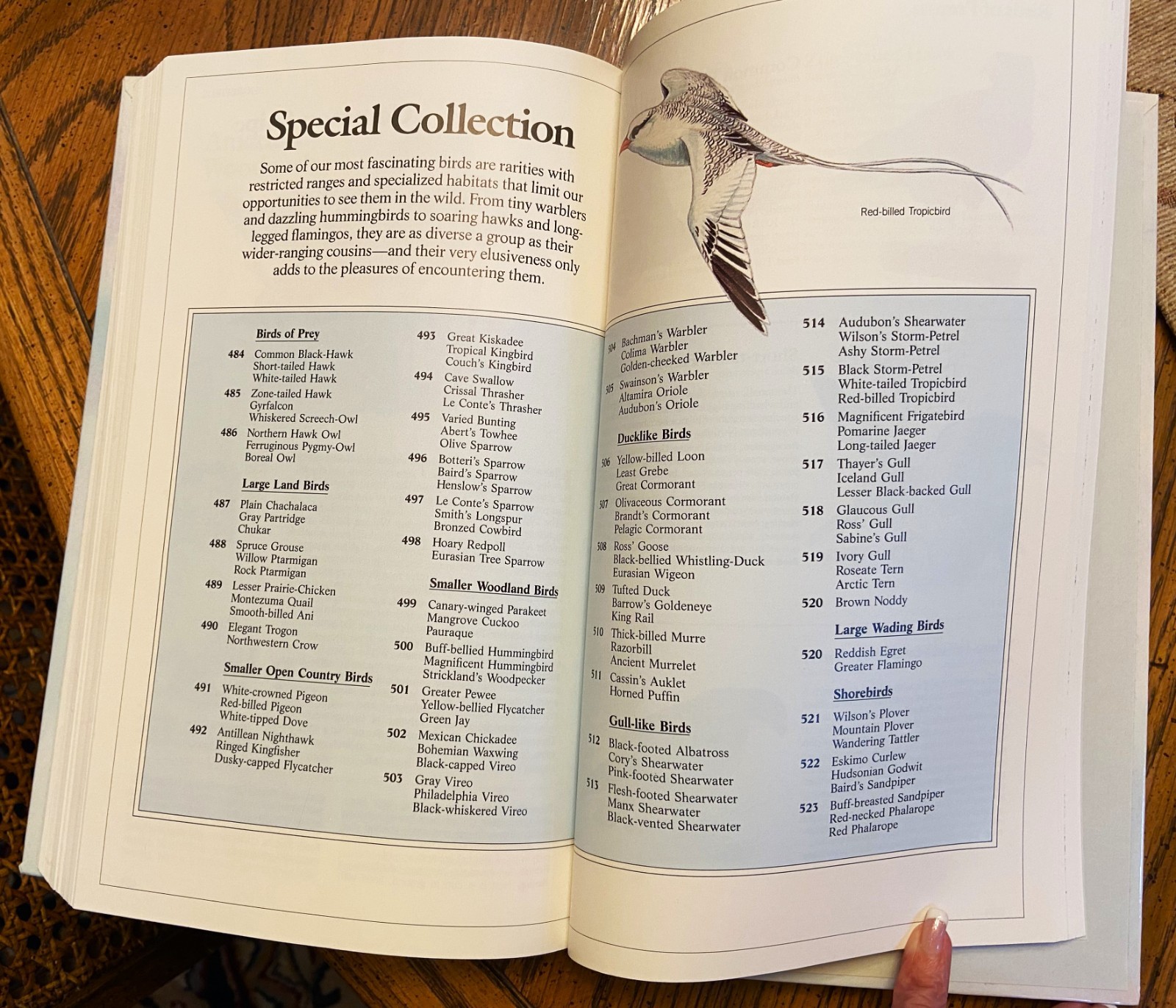 Vintage Reader’s Digest “BOOK of NORTH AMERICAN BIRDS”, hardcover, 576 pgs, Mint