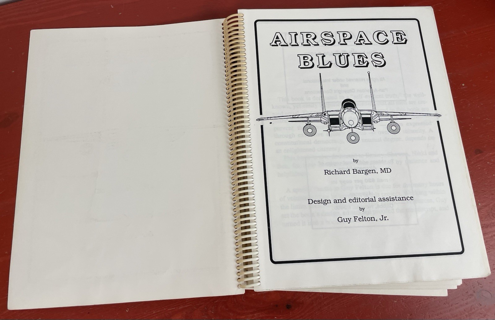 Airspace Blues by Richard Bargen, MD, Spiral PB 1989 SCARCE ~ Misuse of Airspace