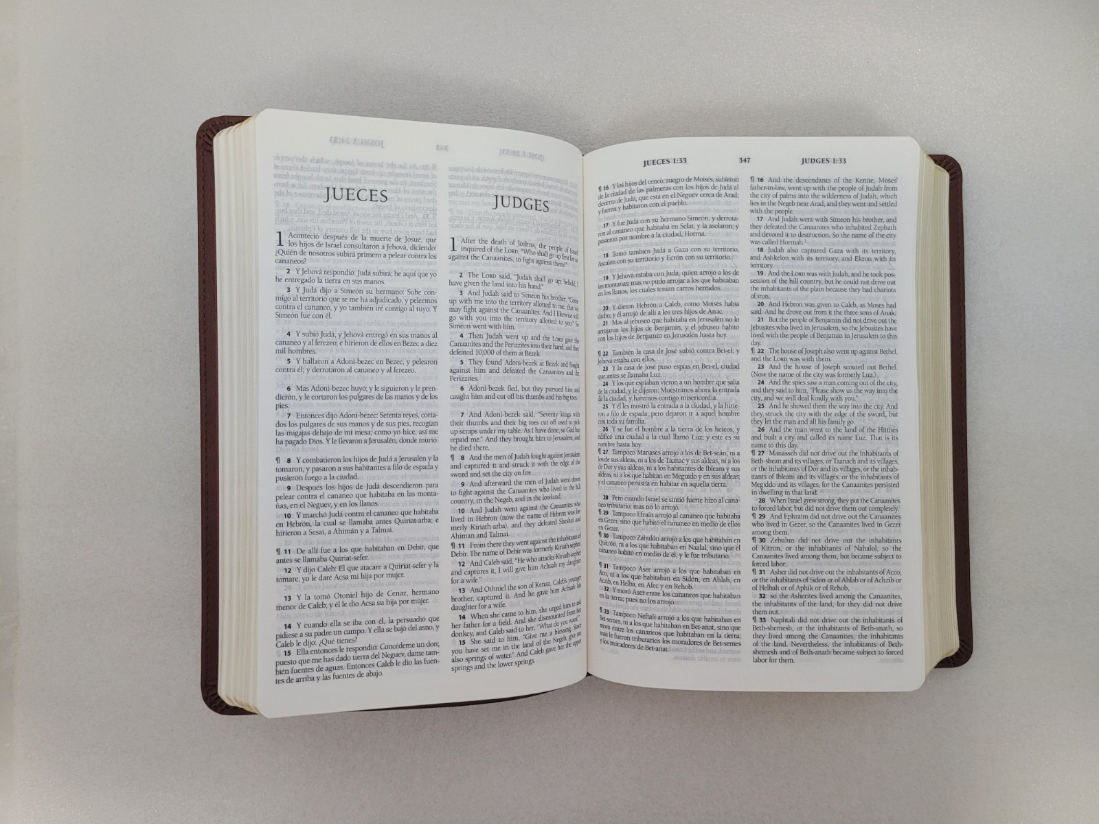 RVR / ESV *Bilingual* English/Spanish Bible La Santa Biblia / The Holy Bible