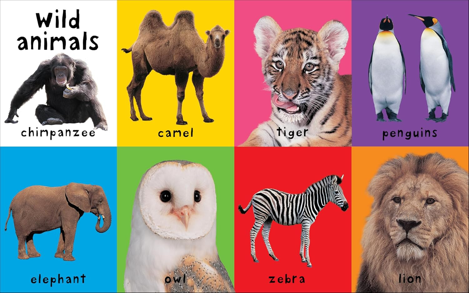First 100 Animals: In the bestselling First 100 series