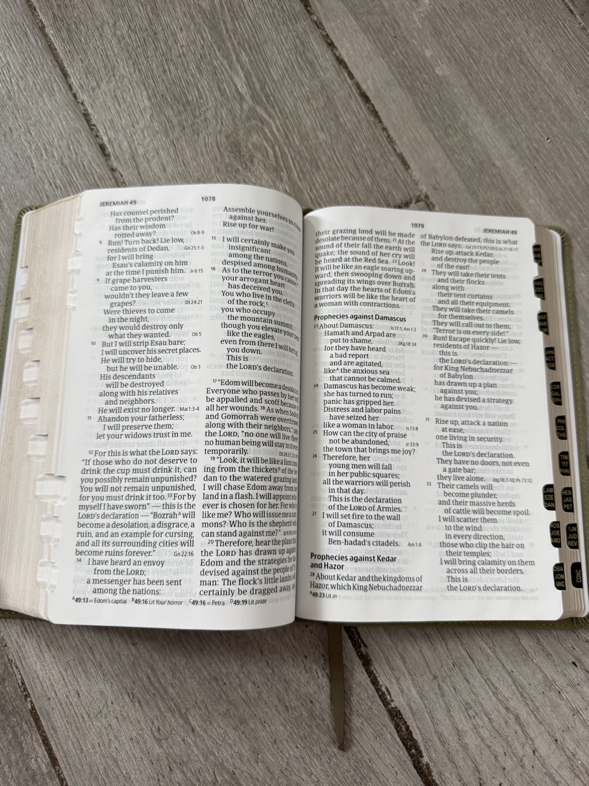 ✝️ CSB – Holy Bible LARGE PRINT Personal Size Reference Bible INDEXED Holman