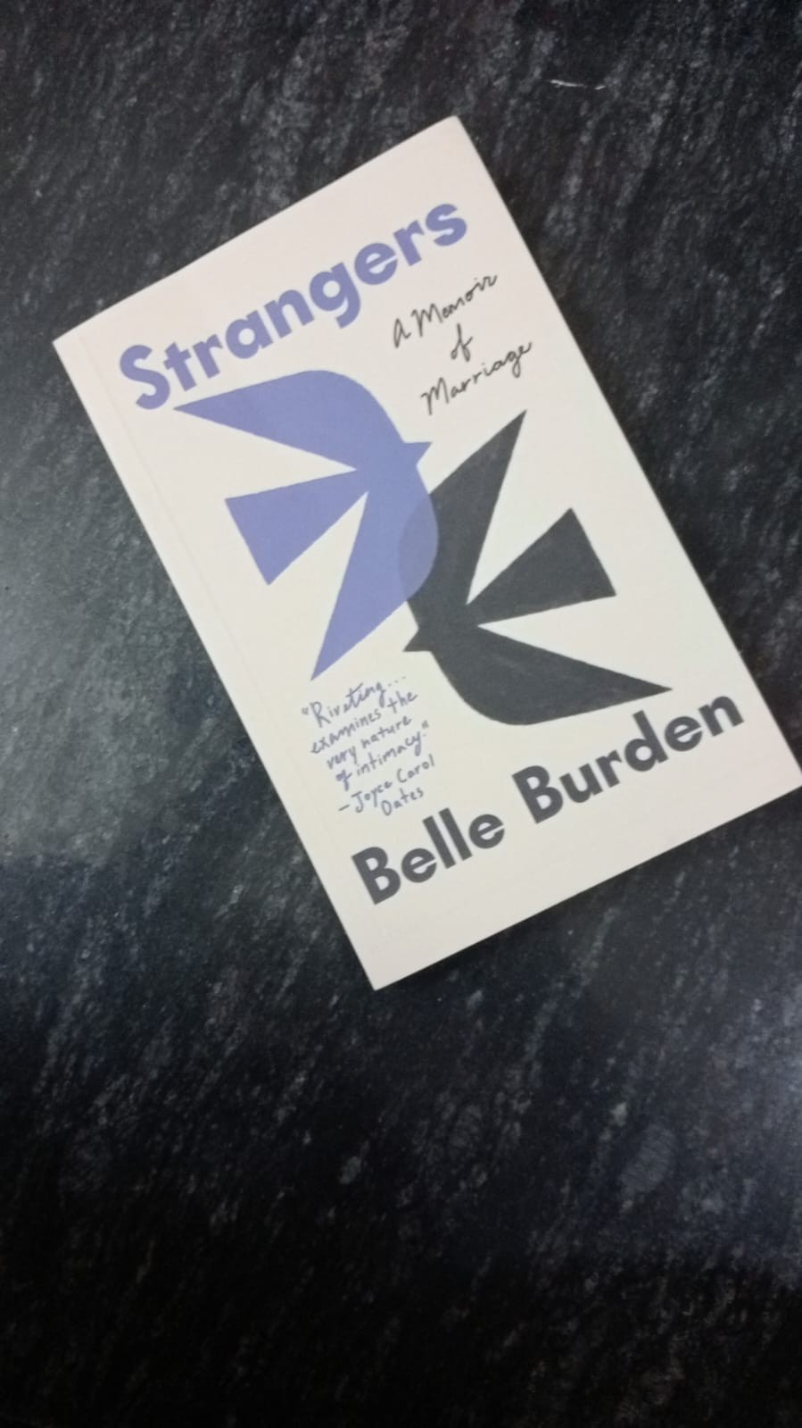 Strangers:by Belle Burden Brand New Book English Paperback Free Shipping