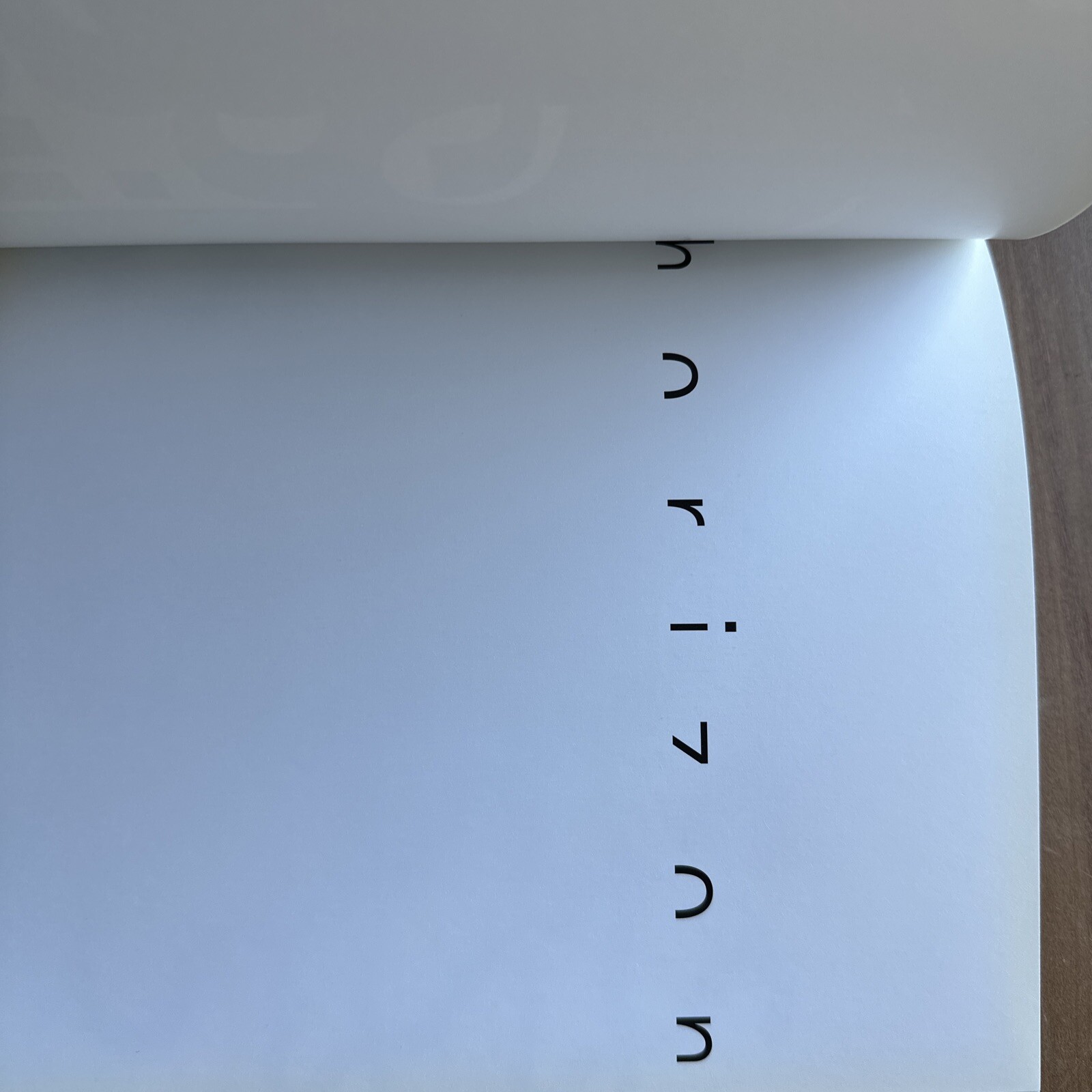 Pictowords – Semantic Typography Niggli Japan Wortbilder Semantische Typografie