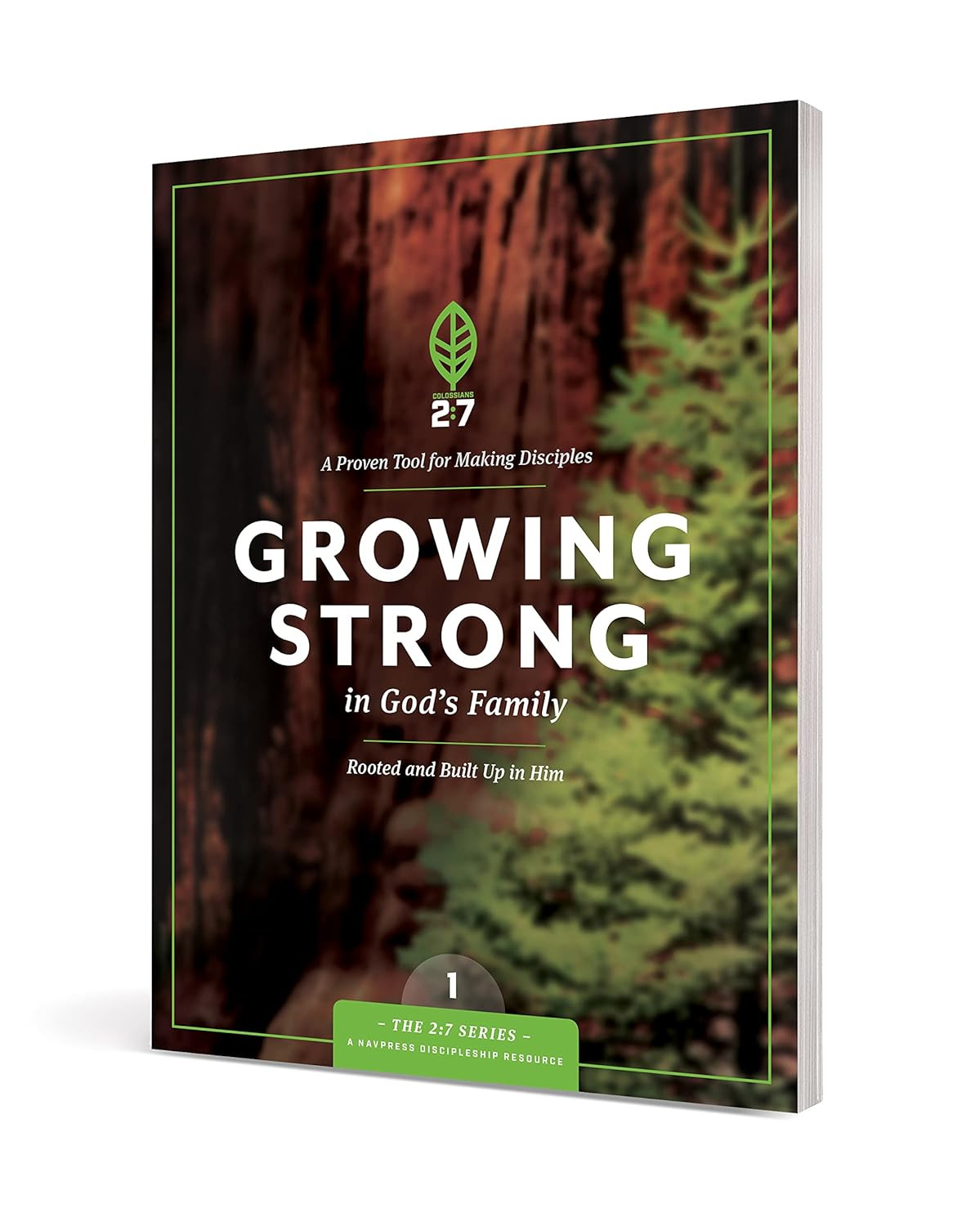 Growing Strong in God’S Family: Rooted and Built up in Him (The 2:7 Series)
