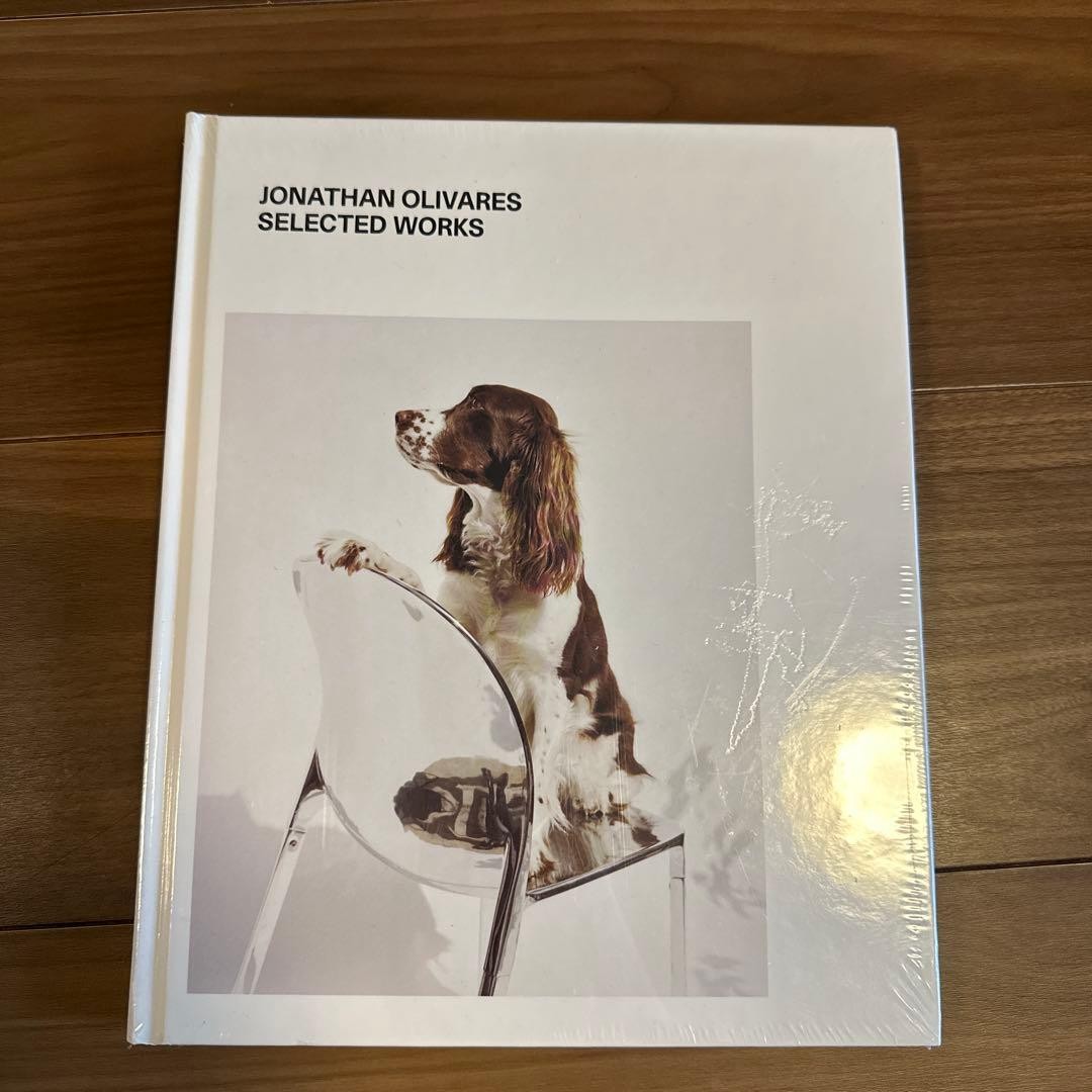 Jonathan Olivares Selected Works 2017 PowerHouse Books Art Design 8.7×10.6in