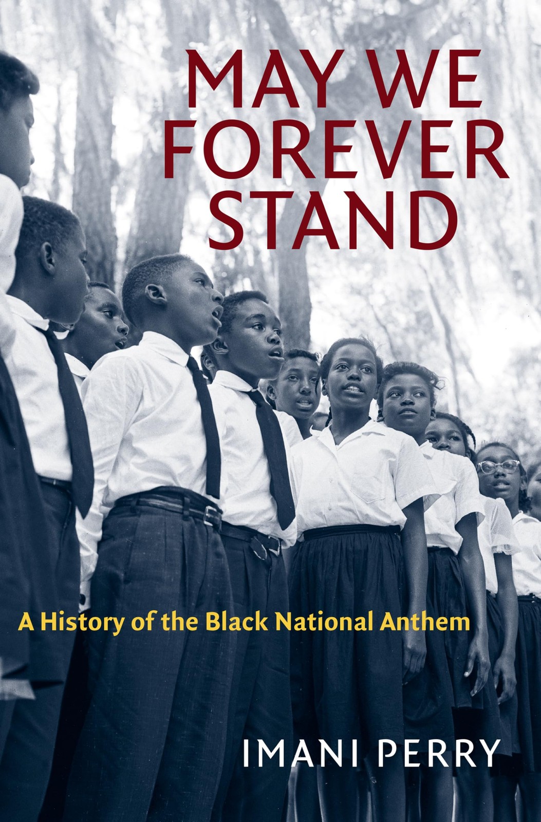 May We Forever Stand: A History of the Black National Anthem (The John Hope …