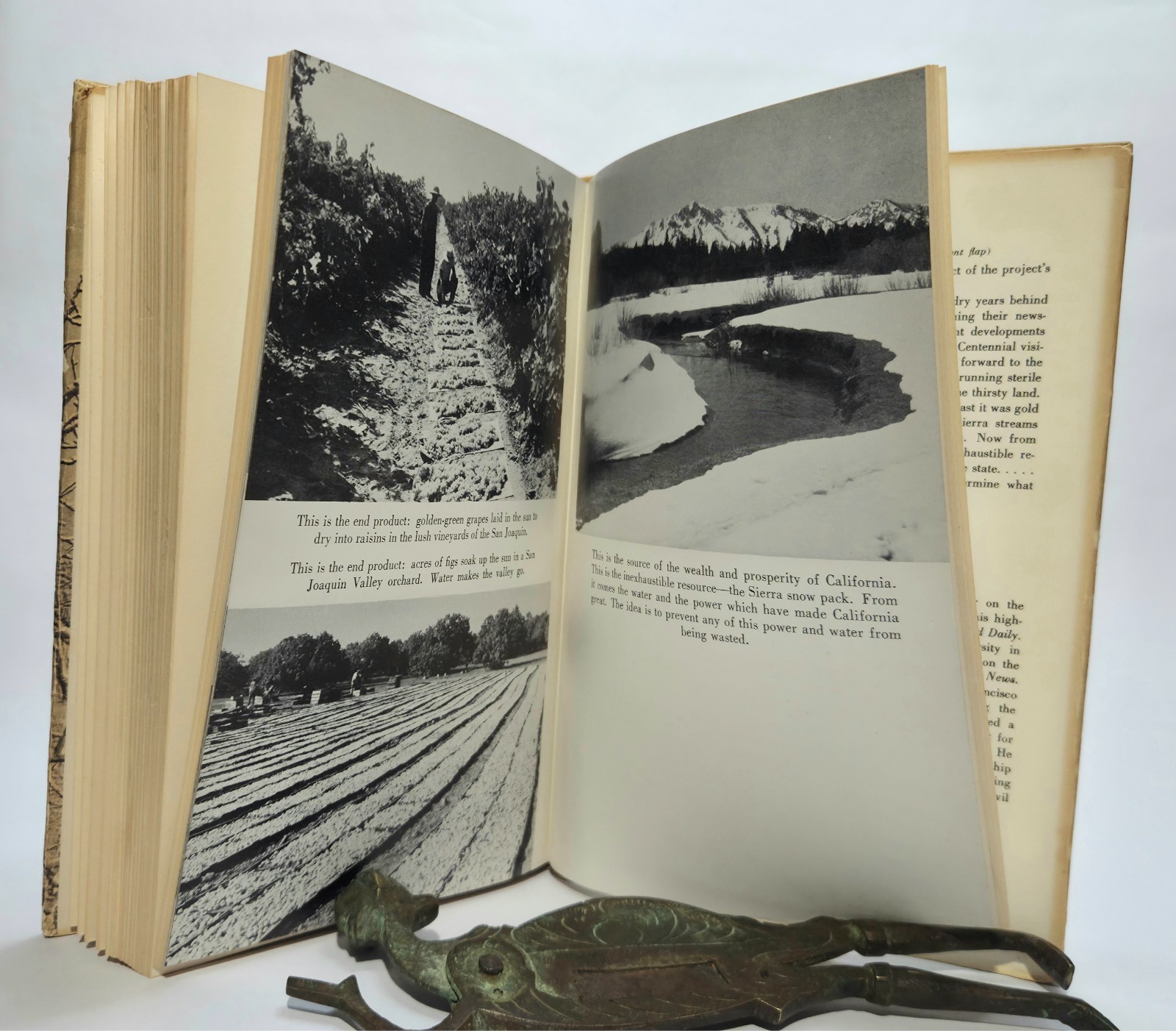 The Thirsty Land: Story of the Central Valley Project De Roos 1948 1st Ed/Print