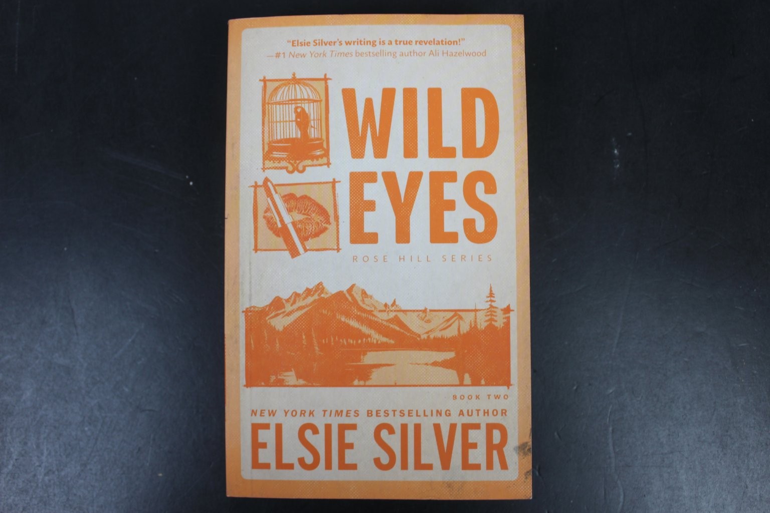 Wild Eyes Elsie Silver 2024 First Printing Romance Bloom Books Rose Hill Series