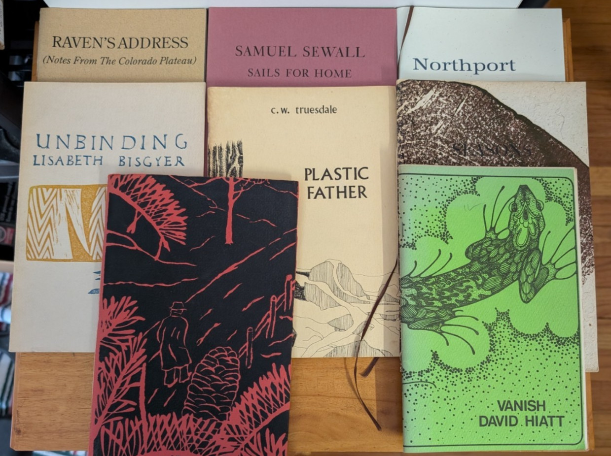 Lot of 8 Poetry Chapbooks, Hutton, Baldwin, Walter, truesdale, Hiatt… Lot 030