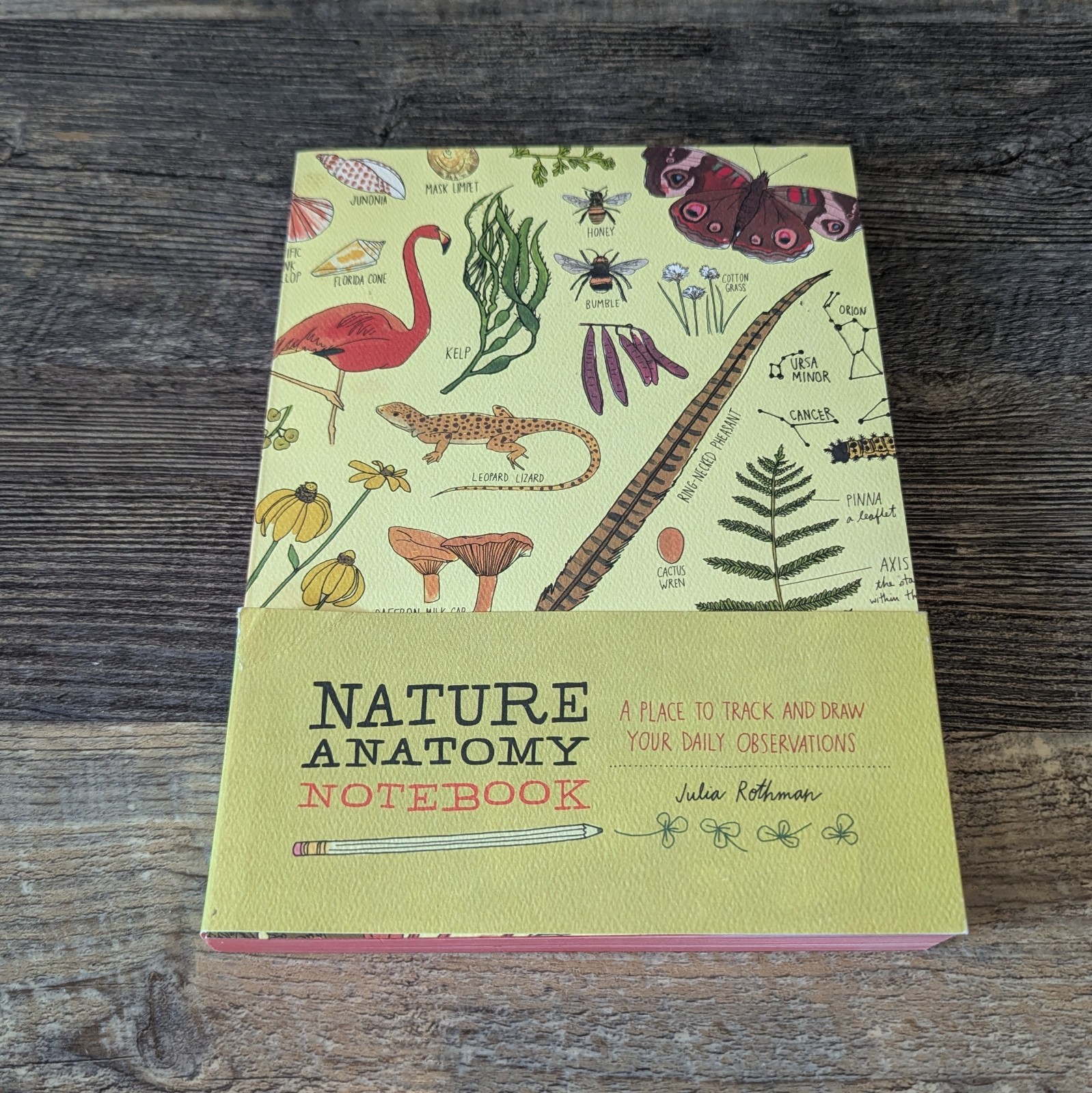 Nature Anatomy Notebook Julia Rothman Unused