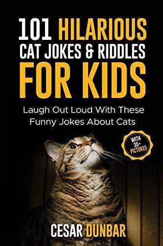 101 Hilarious Cat Jokes Riddles For Kids: Laugh Out Loud With These Fun – GOOD