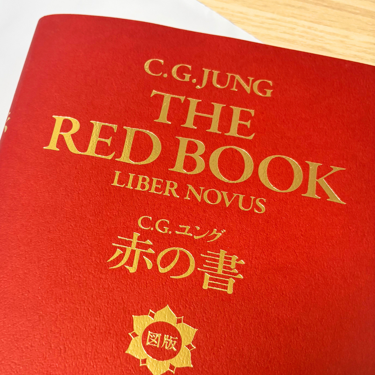 C.G. Jung The Red Book Liber Novus Plates & Illustrations | Rare Psychology Jap