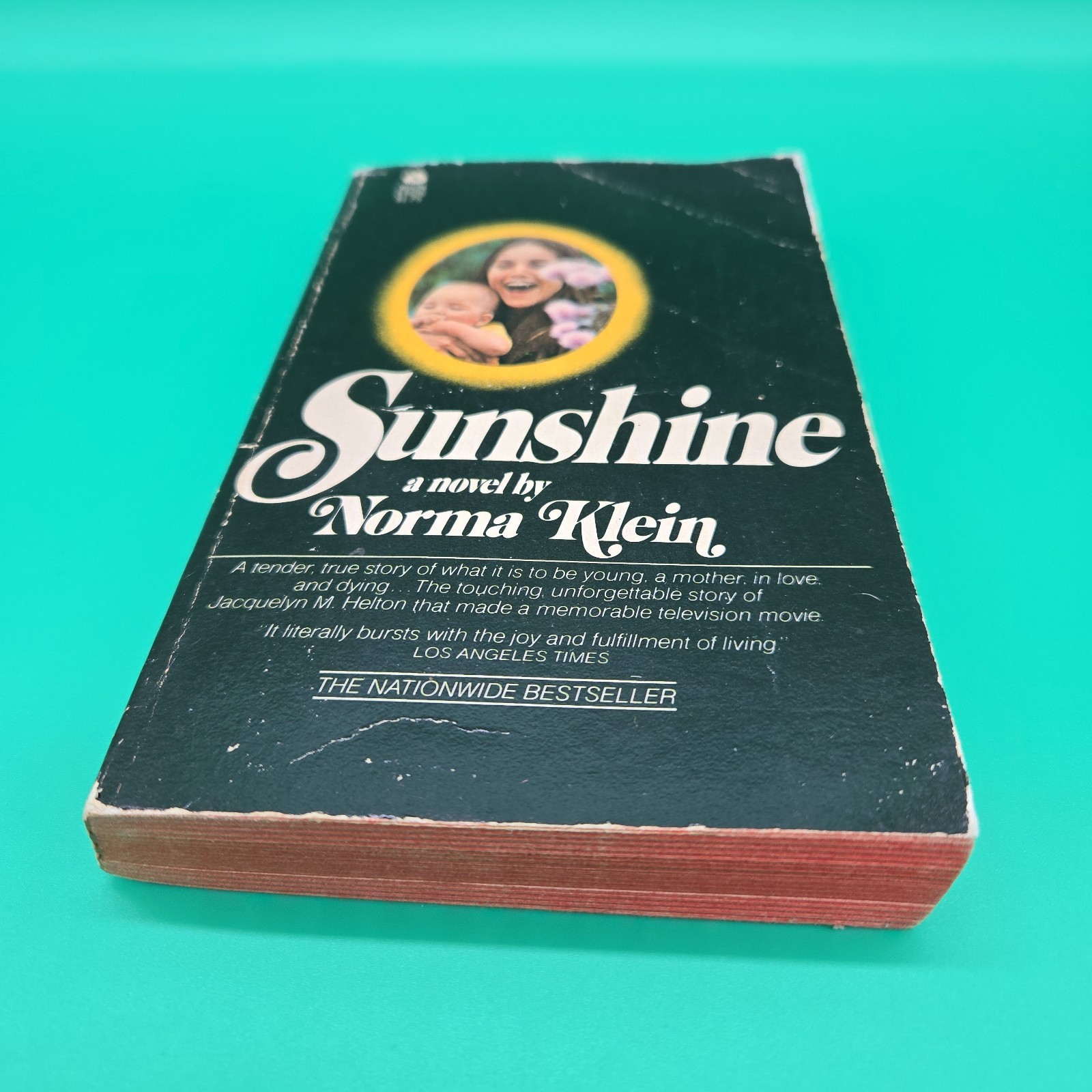 Sunshine 1974 Norma Klein Avon Paperback Vintage Novel