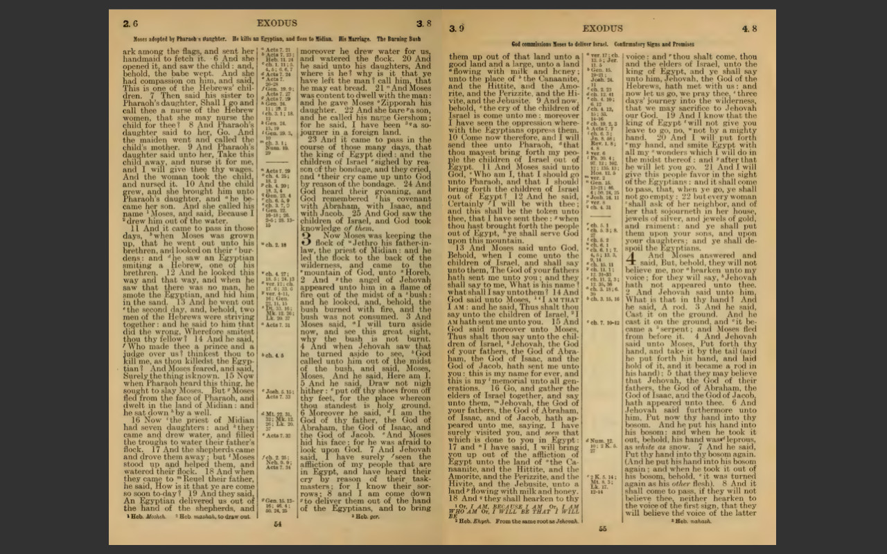 1901 American Standard Bible Version ASV Complete Old New Testament E-Book on CD