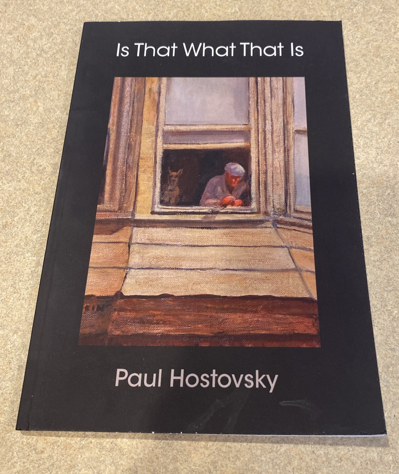 Is That What That Is by Paul Hostovsky (2017, Trade Paperback)