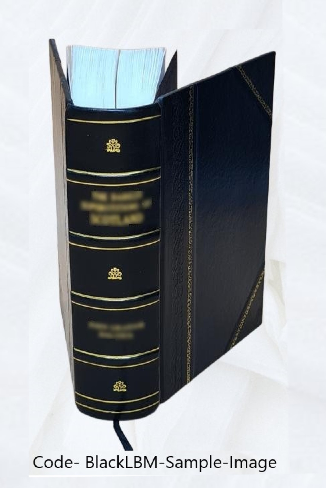 Harper’S Weekly 1864 By Harper & Brothers [Leather Bound]