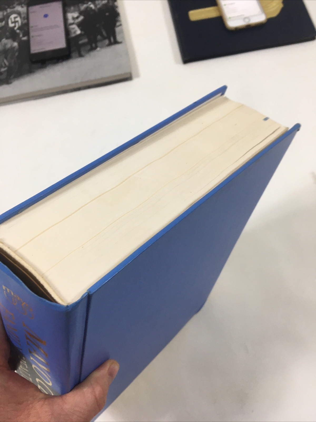Mayo Clinic Family Health Book – David E. Larson, M.D. (Hardcover, 1996)