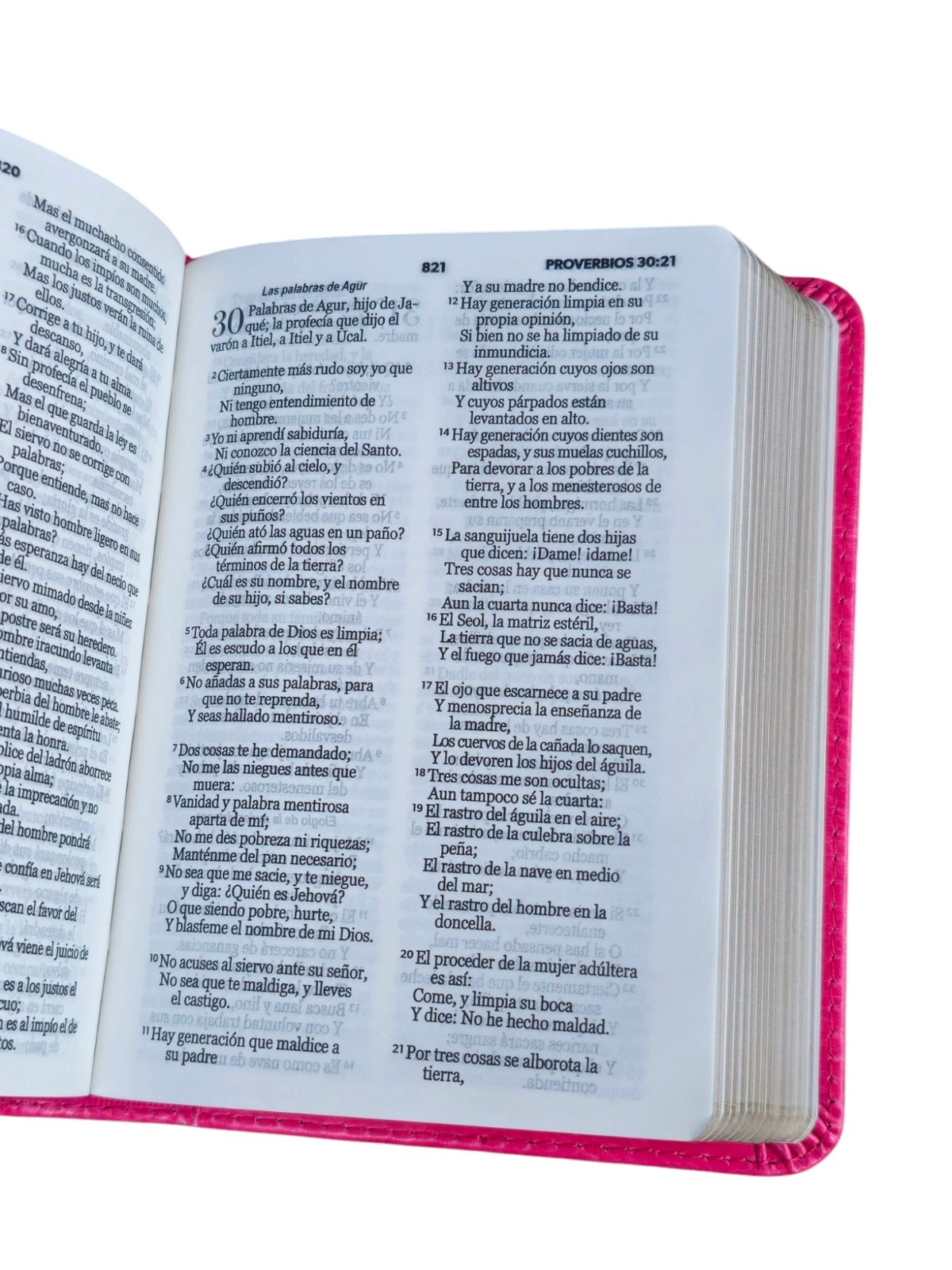 Biblia de Bolsillo RVR,1960 imitacion piel Color fucsia