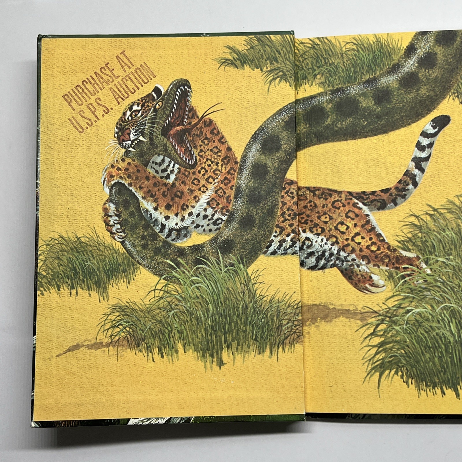 Baleful Beasts & Eerie Creatures – Illustrated by Rod Ruth. HC