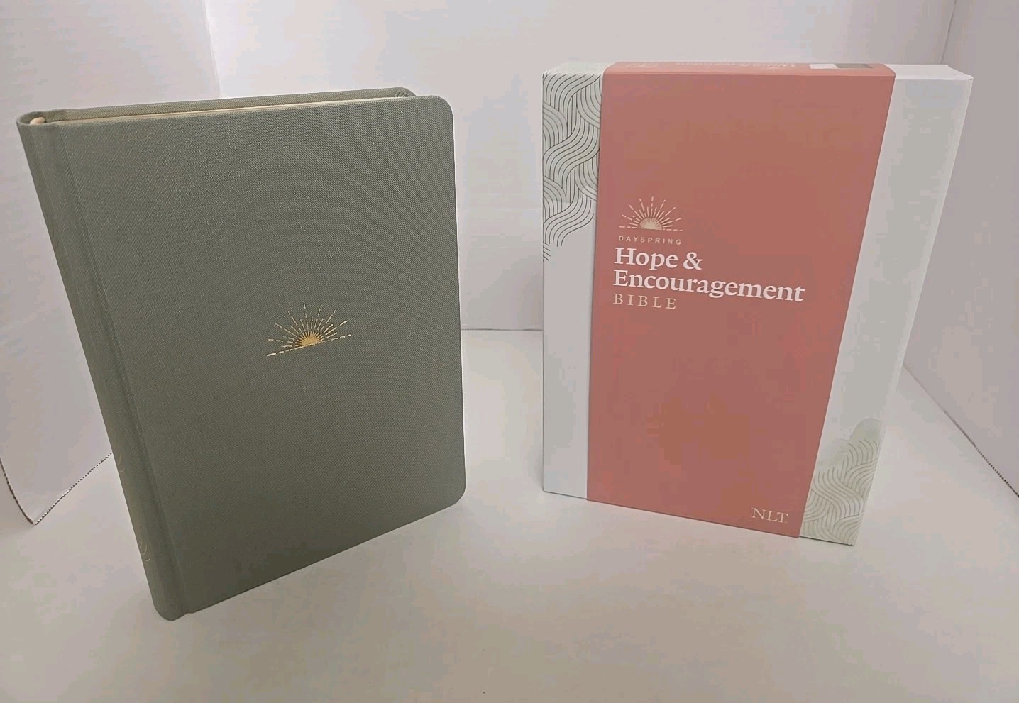NLT Dayspring Hope & Encouragement Bible (Hardcover Deluxe, Seafoam Green)