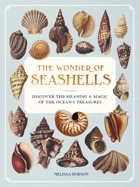 The Wonder Of Seashells: Discover The Meaning And Magic Of T…