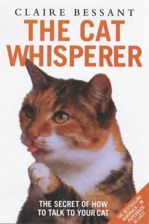 Cat Whisperer Claire Bessant
