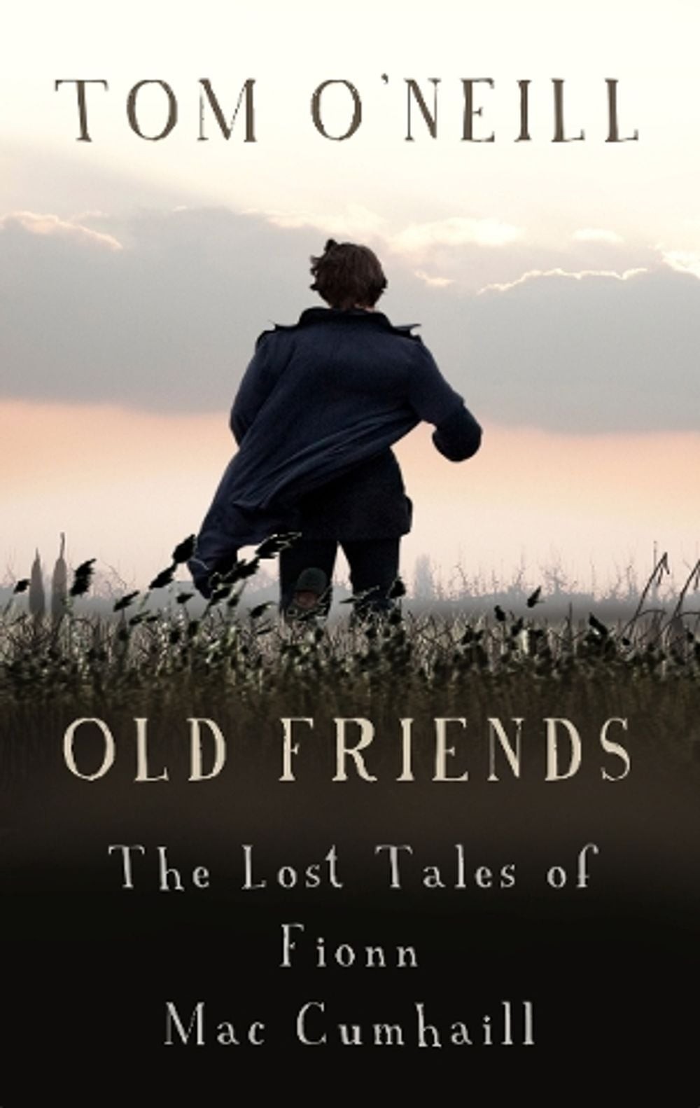 Old Friends: The Lost Tales of Fionn Mac Cumhaill by Tom O’Neill (English) Paper