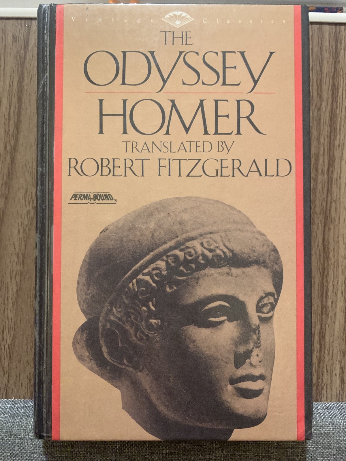 The Odyssey by Homer – Hardcover 1990