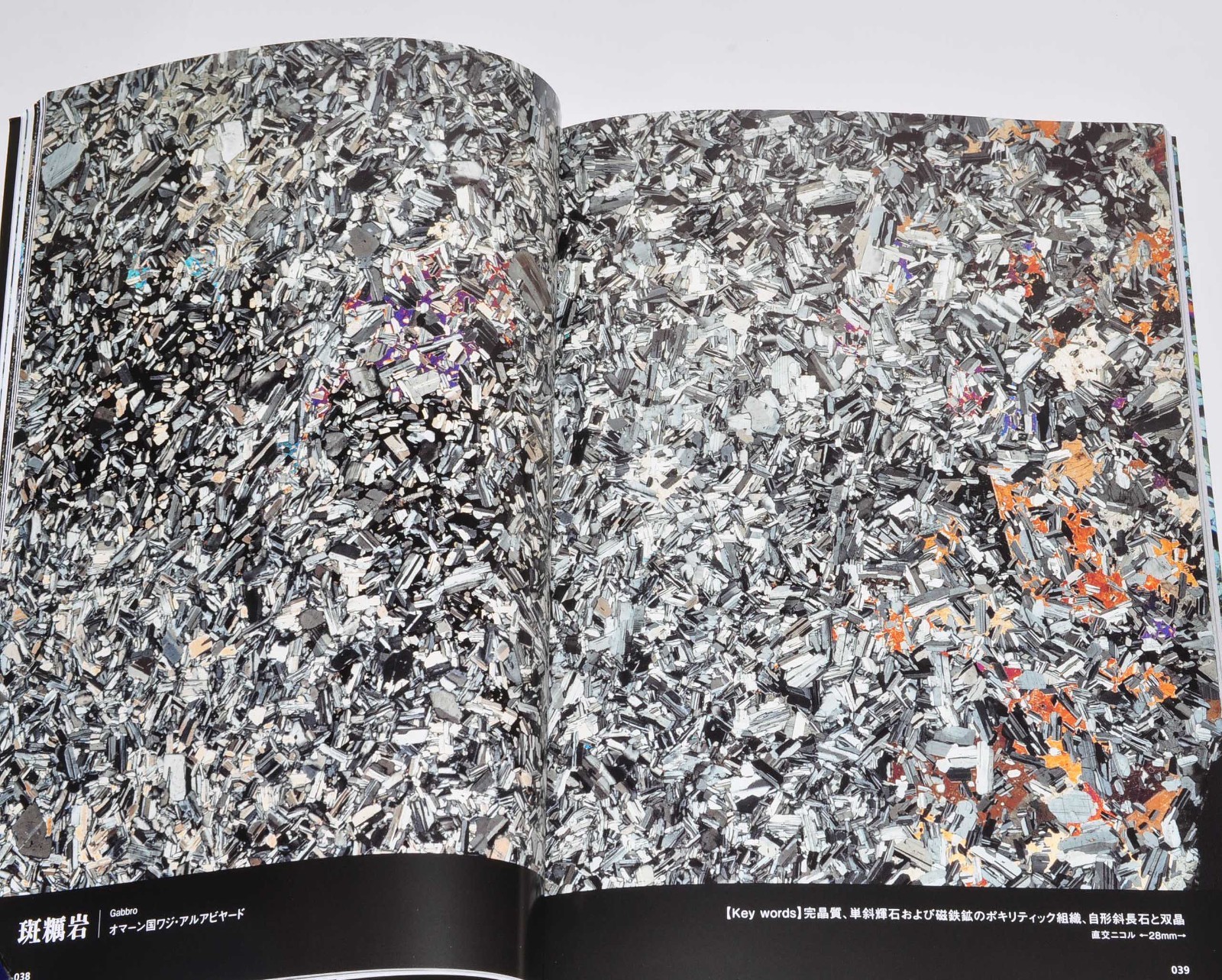 Rock Thin Section Illustrated Guide: Mineral Composition and History from Japan