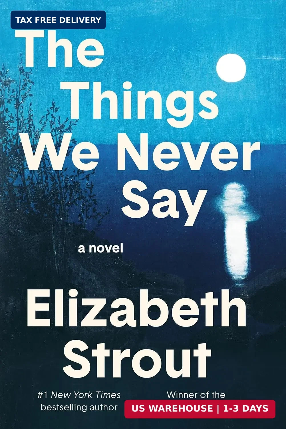 The Things We Never Say: A Novel